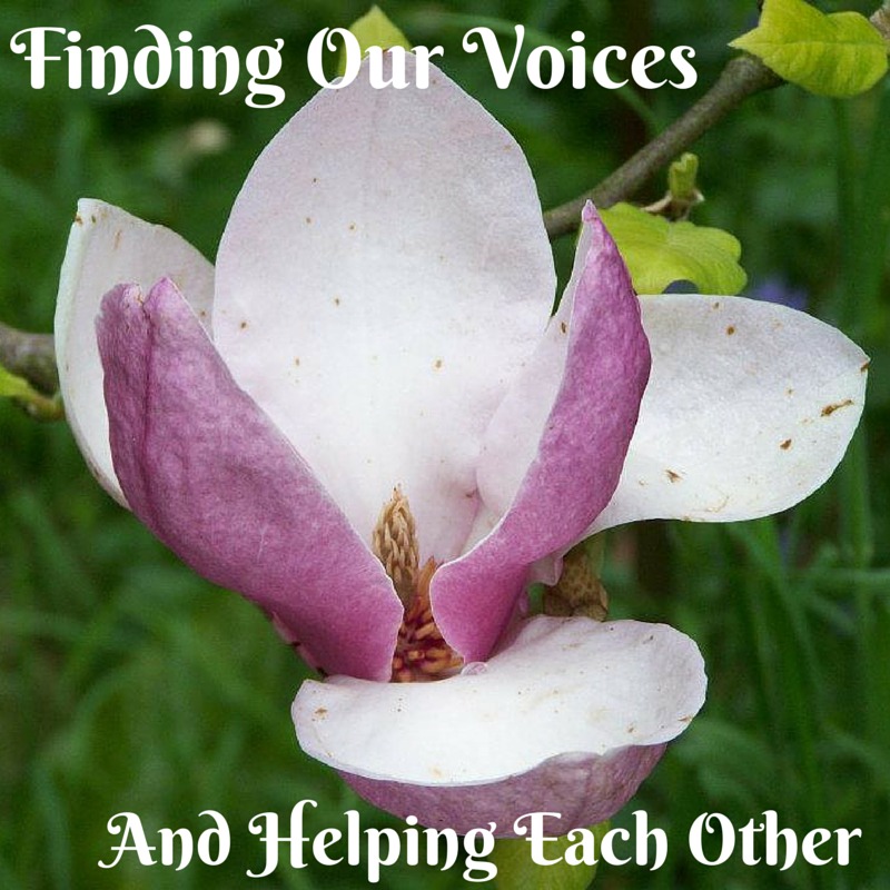 Finding our Voices and Helping Each Other (General Election 2015)